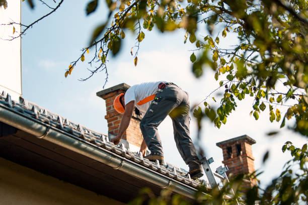Best Chimney Flashing Repair  in Mount Gilead, OH