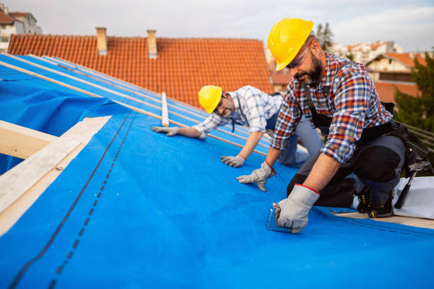Best Roof Ventilation Installation  in Mount Gilead, OH