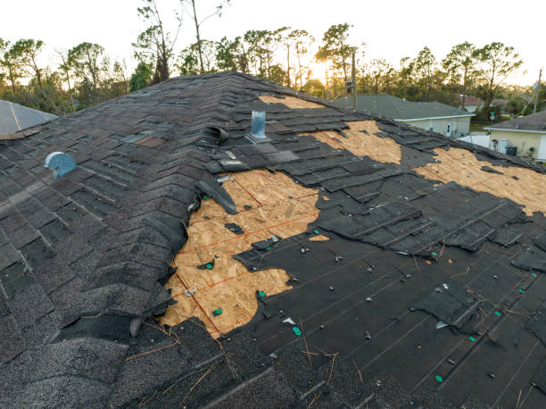 Best Solar Panel Roofing Installation  in Mount Gilead, OH